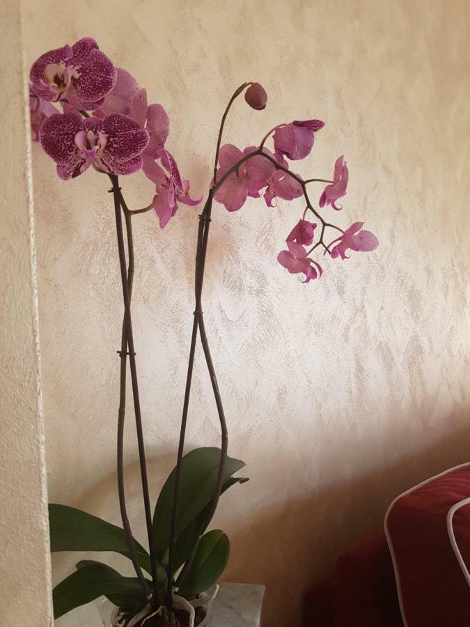 Casa Vacanza Nonna Dora Матера Экстерьер фото